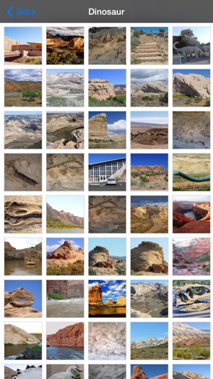 Dinosaur National Park(圖5)-速報App