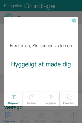 Danish Pretati - Speak with Audio Translation screenshot 3