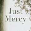 Practical Guide - Just Mercy- A Story of Justice