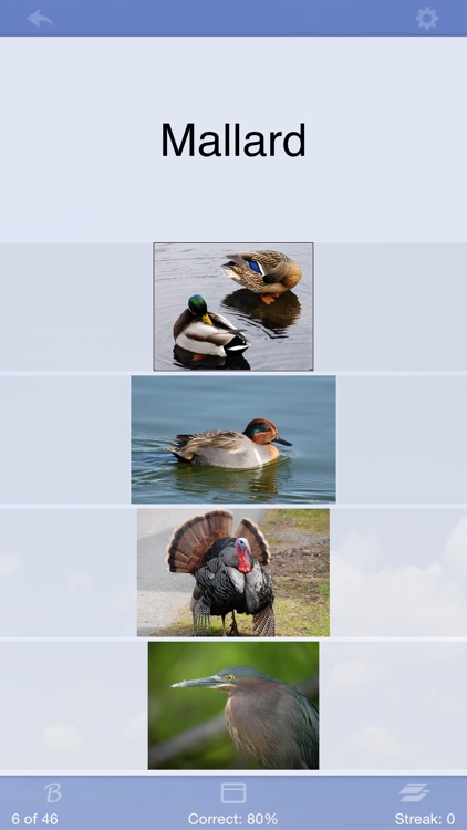 Flashcards Deluxe Lite