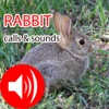 Rabbit Real Hunting Calls & Sounds