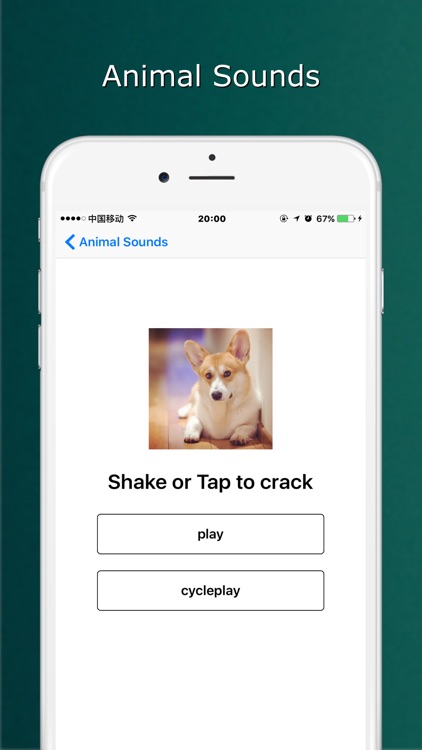 animal simulator game - dog and cat sounds