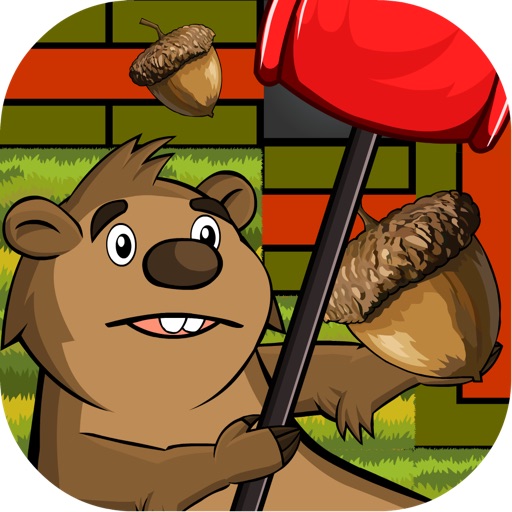 Groundhog Day - Cute Sonic Action Saga iOS App