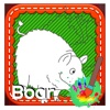 Boar Paint Book For Kids