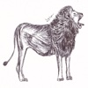 Lion Series  stickers for iMessage