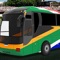 Cricket Bus Driver Simulator