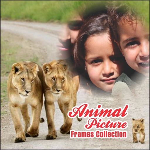 Animal Picture Frames HD Collection Edit Cute Pics