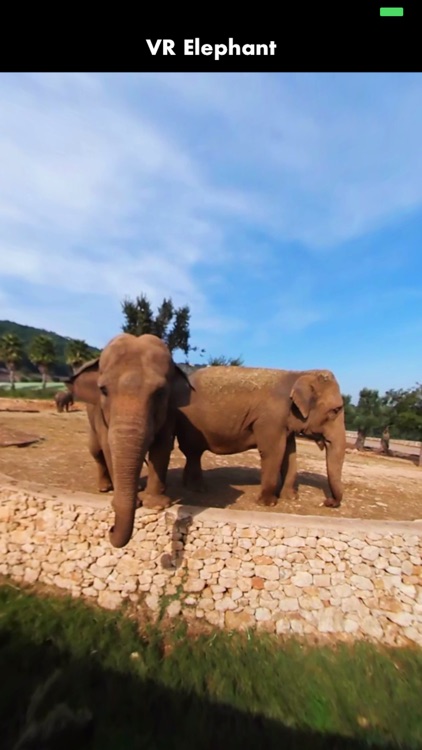 360 VR Elephant - Nature VR Apps for Kids screenshot-3