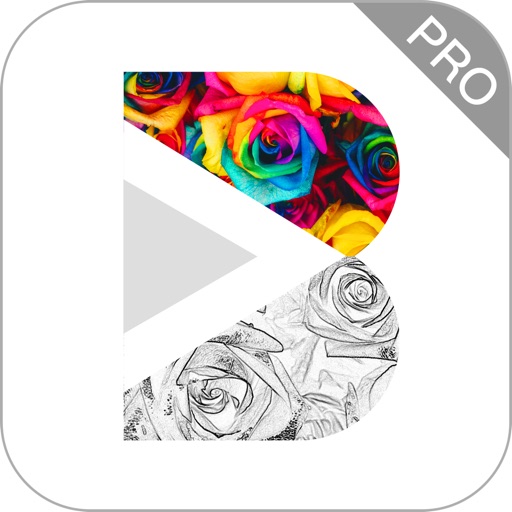 My Colorful Art Sketchbook Pro icon