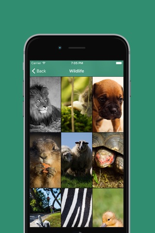Wallpapers for Whatsapp, Homescreen & Co screenshot 4
