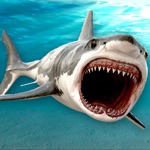 Killer Jaws Shark Hungry Hunter HD