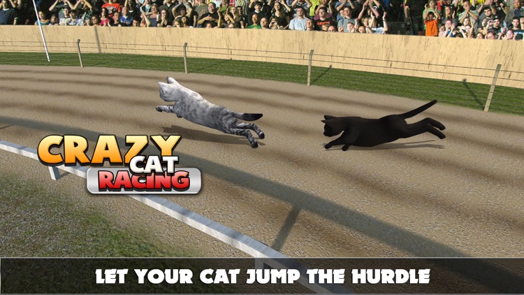 Cat Racing Free Game