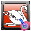 Color and Drawing Swan - For Kids