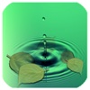 GURU - A Relaxation App