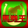 馬券・競馬予想なら無料で全レースを予想するアプリ「馬券王」 for JRA競馬