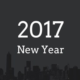 2017 New Year