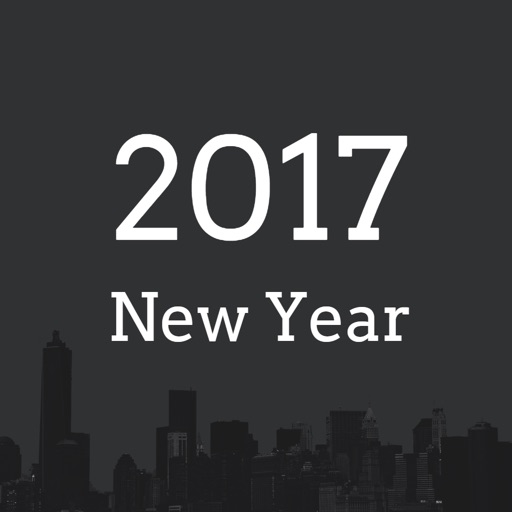 2017 New Year
