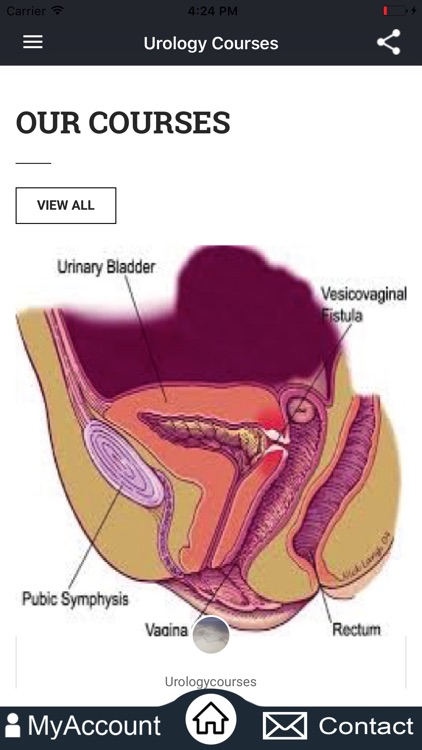 UrologyCourses