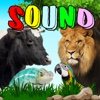 Animal Sounds : Fun Toddler Game