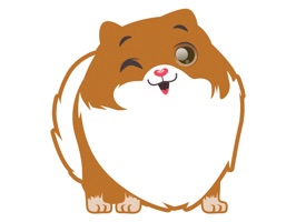 This cute pomeranian is waiting for you