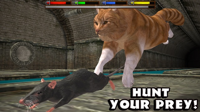 Ultimate Cat Simulator(圖2)-速報App