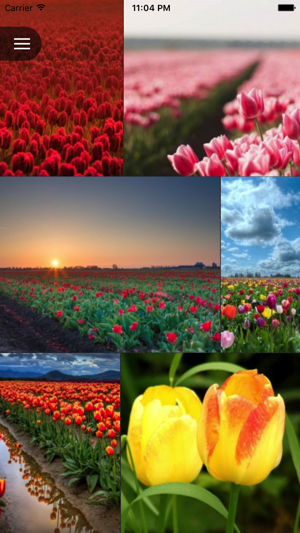 Flower Wallpapers - Best Flower Wallpapers HD(圖3)-速報App