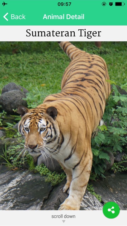 Surabaya Zoo