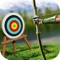 3D Archery Shoot Bow is now on mobile