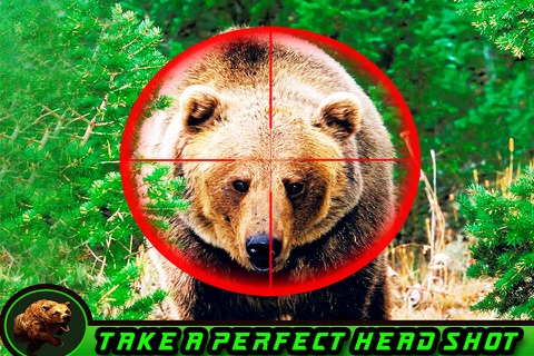 2K17 American Bear Hunter Challenge Pro screenshot 4