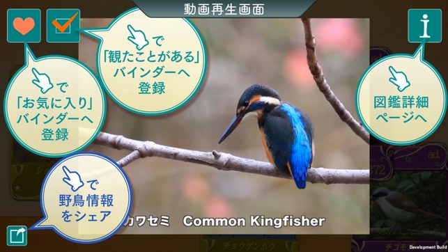 GPS動く野鳥図鑑mini(圖4)-速報App