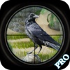 Forest Crow Hunting Extreme Pro