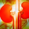 Kidney Disease Glossary-Study Guide and Terms