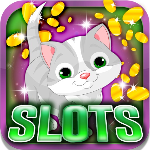 Cats Slot Machine: Win the feline promotions Icon
