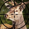 Deer Hunter Simulator.