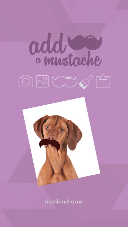 Add a Mustache screenshot-4