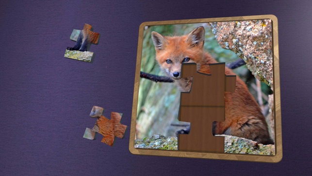 Super Jigsaws Wildlife(圖3)-速報App