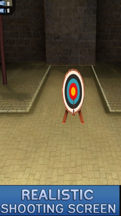 Master Archer Challenge screenshot 3
