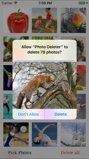Photo Deleter with one Click(圖5)-速報App