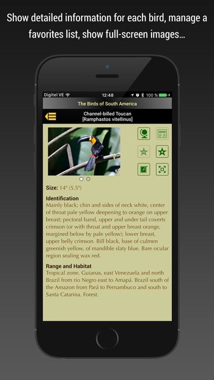 Birds of South America screenshot-3