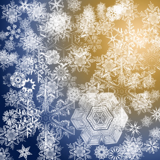 Winter Wallpaper – Ice & Snow Background.s HD App