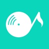 SwiBGM - Nature Music Streaming Service