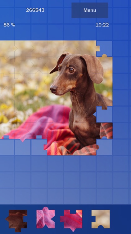 Jigsaw Puzzle Photo Collage screenshot-3