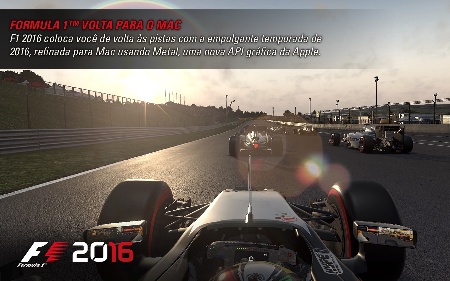 Screenshot do app F1™ 2016
