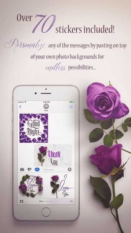 Flower Greetings Violet Roses