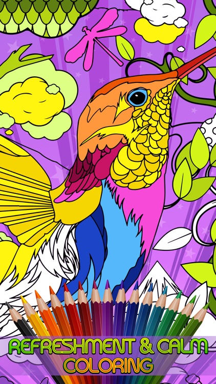Adult Coloring Book - Creatively Calm Mind