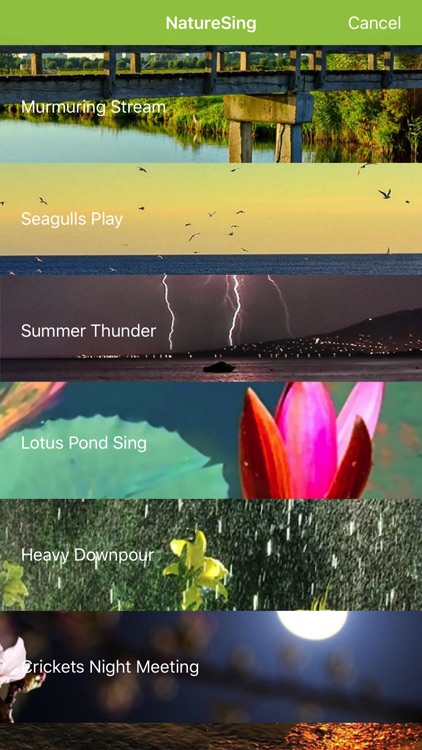 NatureSing--Best nature sounds