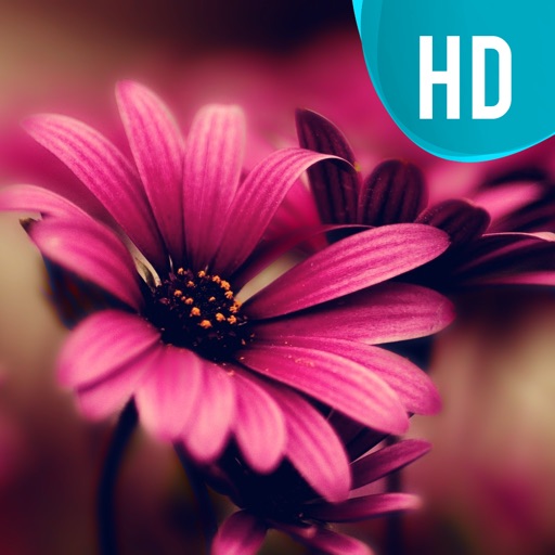 Awesome Natural Flower.s HD Wallpaper.s Gallery Icon