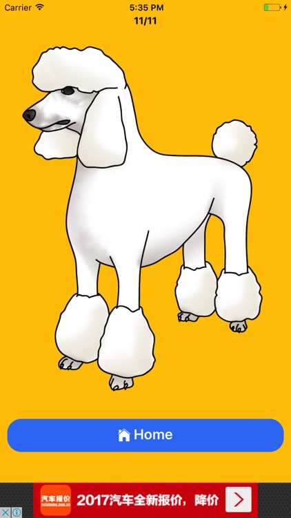 How To Draw Dogs : Simple Lessons Drawing For Kids by mohamed imourig