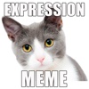 Animated Animal MEMe Stickers