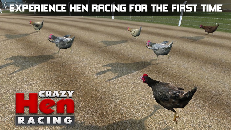 Hen Racing Simulator - Race Free Range Chickens screenshot-3